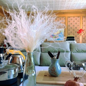 Herbe à plumes, fleur séchée, longue tige, fleur séchée en forme d'aiguille, décoration d'intérieur colorée, accessoires de photographie, vente en gros - Product Image 2