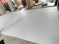 Luces Decorativas de Techo con Efecto de Cielo Estrellado, Proyector de Estrellas LED de Fibra Óptica de Plástico para KTV, Cine, Cine en Casa, Cielo Nocturno