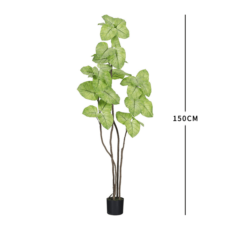 เฟิคัสใบหัวใจ สีขาว-เขียว ขนาด 150 ซม.