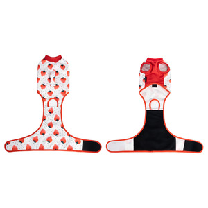 Vêtements mignons pour animaux de compagnie, Teddy Bichon, quatre saisons, vêtements pour chiens de grande, moyenne et petite taille, vêtements universels pour chiens - Product Image 3