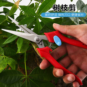 Sécateur semi-automatique pour fruits, en acier inoxydable, avec poignée en plastique rouge, outil de jardinage manuel pour la taille des arbres fruitiers - Product Image 3