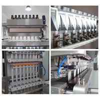 Machine d'emballage haute vitesse multi-voies pour sachets de protéines en poudre et de café, 1g 2g, scellage arrière, 3 en 1 (collage, remplissage)