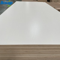 Chine Fabricant Nouveau Design 18mm Panneau de contreplaqué Contreplaqué de mélamine blanche à deux côtés