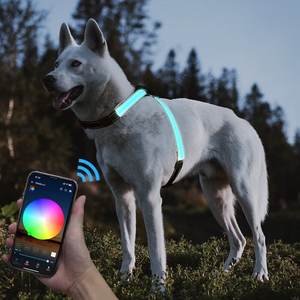 CD1118 APP için LED ışık dostu bez orta ölçekli köpek koşum lüks spor stil Golden Retriever <span class=keywords><strong>Training</strong></span> eğitim - Product Image 4
