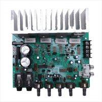 Carte d'amplificateur Audio, amplificateur de puissance de réverbération numérique Hifi 250W X 2 2.0, préampli Audio, Amplification arrière avec contrôle de la tonalité