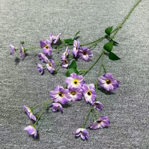 Fiori Conservati di Alta Qualità, Pansé Eterne, Fiori Secchi a Forma di Farfalla per Decorazioni per Feste - Product Image 5