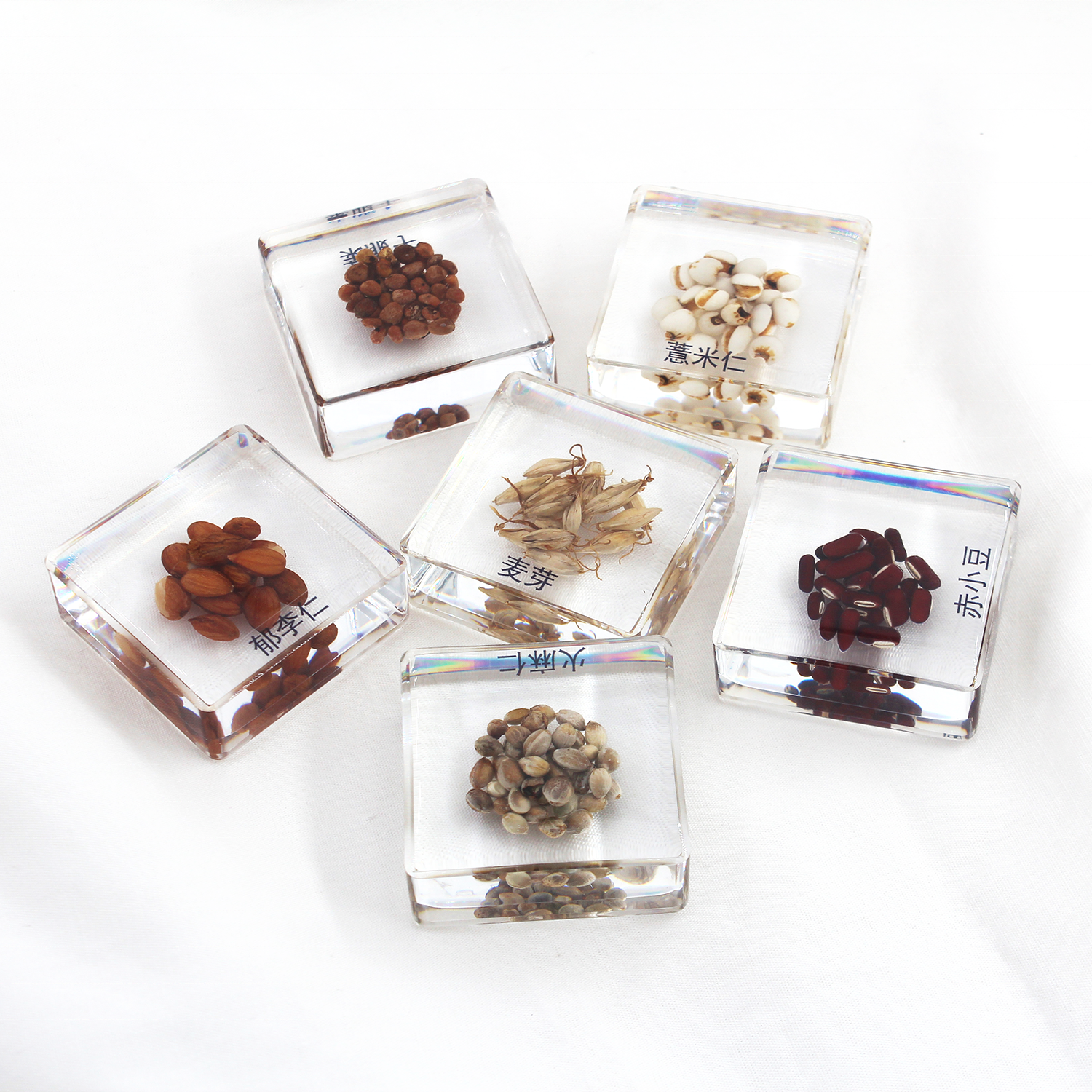 Китайские травы, Обучающие ресурсы, смоляный куб, набор для коллекционирования моделей, учебные пособия для детей