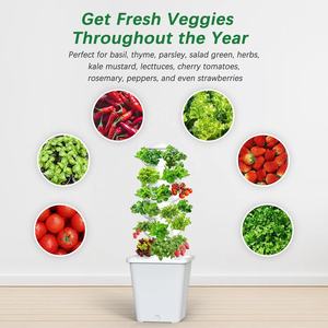 מערכת גידול הידרופוניקה 30-צמח מגדל ויטרוני אנכי חיצוני עם מערכת משאבת נביטה צמחים - Product Image 5