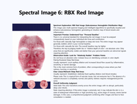 Analizador de Piel Profesional con IA, Cámara HD de Grado Industrial, Escáner Facial 3D para Uso en Salones de Belleza