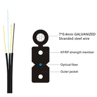 Cable de fibra óptica de 1, 2, 4, 6 y 8 núcleos para interior y exterior, Cable de caída de fibra óptica con alambre de acero o FRP, precio de Cable de fibra óptica