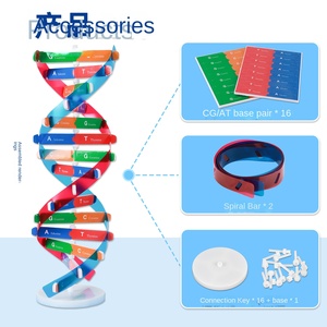 Modelo de Estructura de Doble Hélice del ADN, Componente de Plástico EVA, Heredidad Biológica, Variación Genética, Instrumento de Enseñanza Experimental - Product Image 2