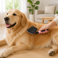 Peigne anti-puces professionnel manuel en plastique TPR pour chiens et chats, à dents fines, avec picots en acier inoxydable, manche blanc, outil de contrôle des poux