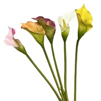 Bunga Calla Lily Buatan dari Plastik Cetak 3D untuk Pasokan Lintas Negara, Simulasi Gaya INS, Produsen untuk Pernikahan dan Dekorasi Rumah