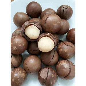 Macadamia entera en cáscara crujiente asado Snack OEM ODM Servicio personalizado Ideal para el mercado de exportación - Product Image 6