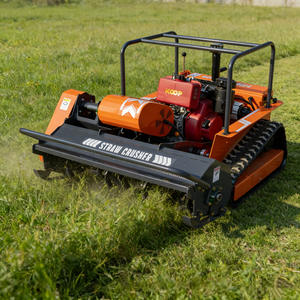 Tondeuse autoportée diesel et débroussailleuse : petite machine de défrichage pour l'entretien des terrains et des pelouses - Product Image 1