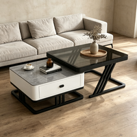 Nouvelle Table Basse 2026 en Pierre Frittée, Design Minimaliste et Luxueux, Carrée et Simple, Idéale pour Petits Appartements