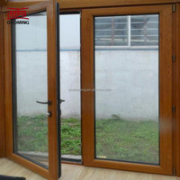 Portes doubles modernes sur mesure avec design personnalisé, surface finie sécurisée, imperméables et avec panneaux en verre