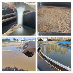 Giá thấp hóa chất Pam polyacrylamides bột flocculant Anion Polymer cho xử lý nước thải - Product Image 4