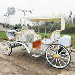 Caiteng Marathon <span class=keywords><strong>Sulky</strong></span>, chariot à 4 roues pour poney, charrette de luxe royale, carrosse de mariage Cendrillon, chariot électrique de tourisme Victoria, 6 places - Product Image 6