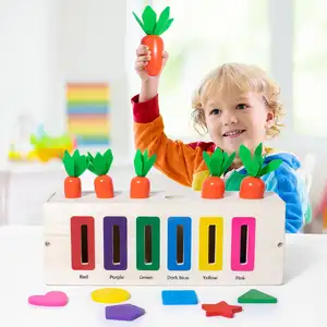 Multifunctional Wooden Intelligence Box Color Shape Sorting Matching Magnetic Beads Maze Montessori Educational Toys