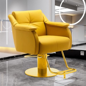 Chaise de Salon de Coiffure Commerciale en Métal Haut de Gamme, Réglable et Pivotante, avec Accoudoirs, Design Luxe, Vente en Gros - Product Image 2