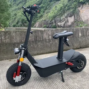 Fabrikdirekt 1600 W 48 V Säure-Zwei-Rad-Off-Road-Elektro-Scooter