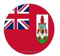 Sous-verres pour porte-gobelets de voiture avec drapeau du Belize, base antidérapante, lot de 2, accessoires intérieurs de voiture pour femmes et hommes