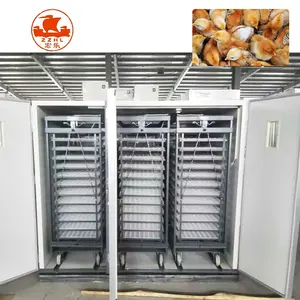 Incubateur pour œufs de poulet 10000, couveuse d'œufs pour la vente, alimentation d'usine