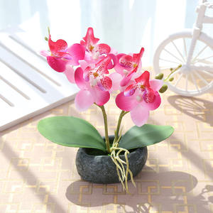 Mini fleur d'orchidée de Phalaenopsis, décoration de jardin, plantes décoratives en pot pour la maison et le mariage - Product Image 2