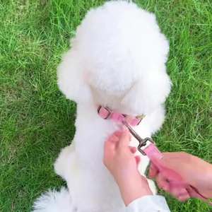 Nuevos Collares para Mascotas, Collares y Correas para Perros Pequeños y Medianos, Shiba Inu, Golden Retrievers, Venta al por Mayor - Product Image 1