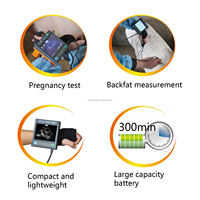 Volldigitales Tragbares Ultraschall-Diagnosegerät für den Veterinärbereich mit 3,5 Zoll Farb-LCD und 120-190mm Scan-Tiefe