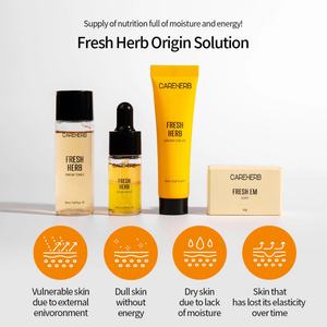 Kit de Soins Coréens Format Voyage Éclaircissant Anti-rides Tonique Sérum Crème Savon EM Kit aux Herbes Fraîches - Product Image 2