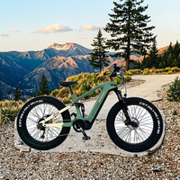 Vélo électrique de montagne Roadsan personnalisé ODM OEM, 26 pouces, 750W, moteur central 48V, alliage d'aluminium, gros pneus, 32 km/h