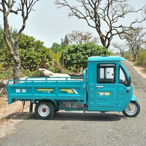 Fabricante al por mayor WF1500DZH nuevo pequeño 2M tres ruedas cerrado granja eléctrica triciclos camioneta - Product Image 5