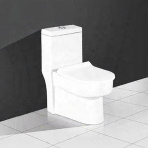 Siège de toilette monobloc en céramique vitreuse avec siphon en P et en S, blanc émaillé, 765 x 710 mm, avec système de chasse d'eau par siphon, fabrication indienne - Product Image 1