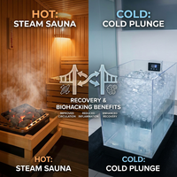 Sauna traditionnel extérieur pour 2 à 4 personnes, design moderne, salle de vapeur