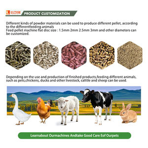 Machines de traitement des coques de riz, des tiges de coton, des déchets végétaux, des <span class=keywords><strong>granulés</strong></span> de bois, machine à <span class=keywords><strong>granulés</strong></span> d'aliments pour animaux - Product Image 3