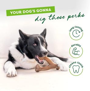 Jouet à mâcher indestructible pour chien Wishbone, pour mâcheurs agressifs, jouets à mâcher résistants et durables pour lutter contre l'ennui - Product Image 4