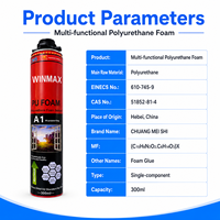 Espuma de Poliuretano Multifuncional A25 de 300 ml, Fórmula Personalizada OEM ODM, para Fijación de Marcos de Ventanas, Sellado de Marcos de Puertas y Tuberías