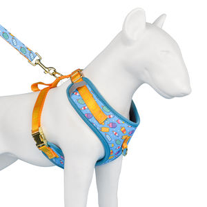 मिडेपेट लक्जरी डिजाइनर पॉलिएस्टर पालतू जानवरों का उपयोग छोटे मध्यम बड़े पालतू जानवरों के लिए लेश सेट प्यारा समायोज्य सेट - Product Image 2