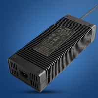 Chargeur de batterie au lithium ternaire 12,6 V 25 A 3S 11,1 V à charge rapide DC OTP 315 W pour trottinettes électriques/vélos électriques/robots