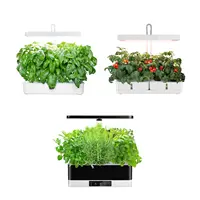Sistema de cultivo hidropónico LED para jardín interior, macetas pequeñas aero inteligentes para interior