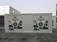 Unidad de Refrigeración Thermoking en el Lateral, Enfriamiento Rápido con Múltiples Unidades de Refrigeración, Contenedor Refrigerado Personalizado en Venta