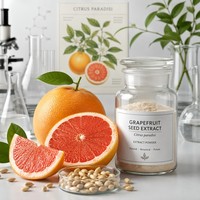 Poudre d'extrait naturel de pépins de pamplemousse 10:1 de qualité alimentaire en vrac, blanche, pour usage antimicrobien