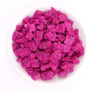 Healthy Food Tropical Fruit Freeze Dried Red Dragon Fruit
