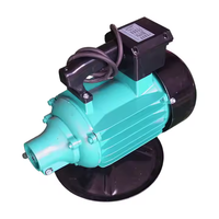 Handgeführter 220V/380V Betonrüttler: Industrieller Elektrischer Kleinbetonverdichter mit Vibrationsmotor