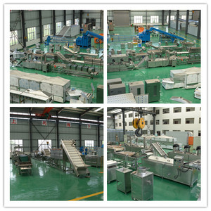 Máquina de Limpieza de Mariscos, Caracoles y Ostras de Alta Eficiencia con Rodillo de Cepillo, Lavadora de Vegetales de Raíz, Máquina de Lavado de Patatas y Calabazas - Product Image 6