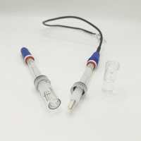 2026 Sensor pH Analog Keluaran Analog Akurasi Tinggi Profesional Baru yang Dapat Disesuaikan Elektroda Double Salt Bridge Industri Online Kaca Pr