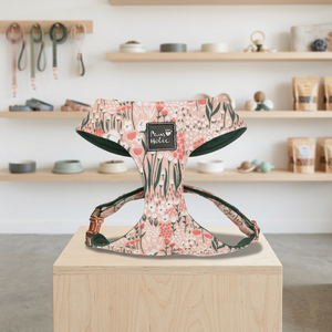 Comfortable Premium Cotton <b>Dog</b> Harness Cotton Cat Harness Elegant Personalized Cute Style Buckle Closure for Large <b>Dogs</b> OEM ODM - Product Image 1