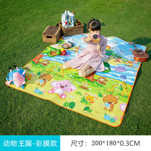 Tapis de pique-nique d'extérieur Explorers, rectangulaire, épaissi, imperméable, pour le camping, utilisation printanière, pour plusieurs personnes - Product Image 3